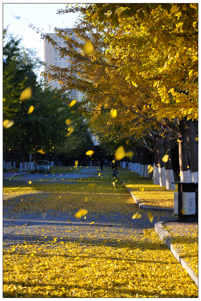辽宁大学