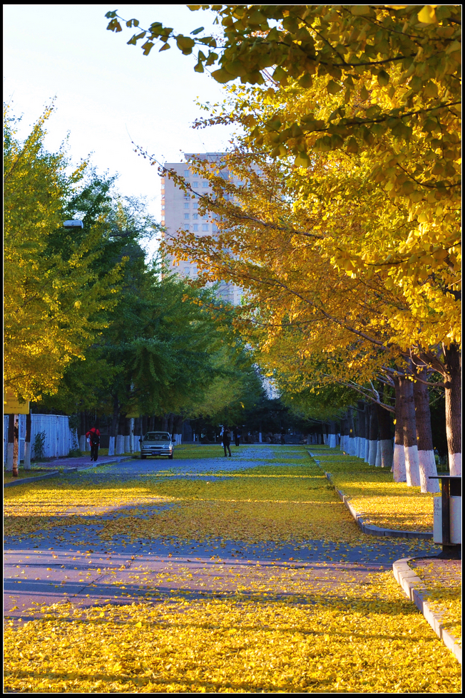 辽宁大学