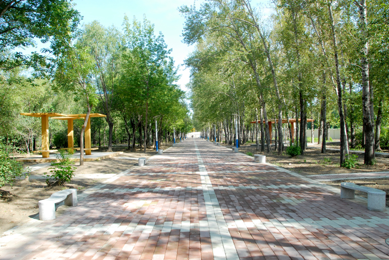 大庆师范学院